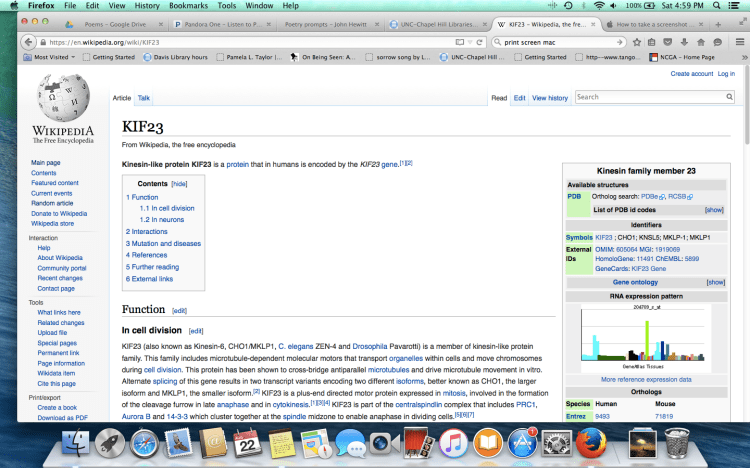 Screen Shot 2015-08-22 at 4.59.29 PM