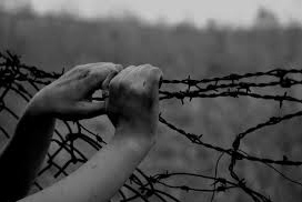 Hands on barbed wire