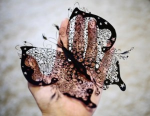 butterfly