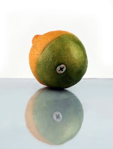 lemon-variations-1320644-639x846