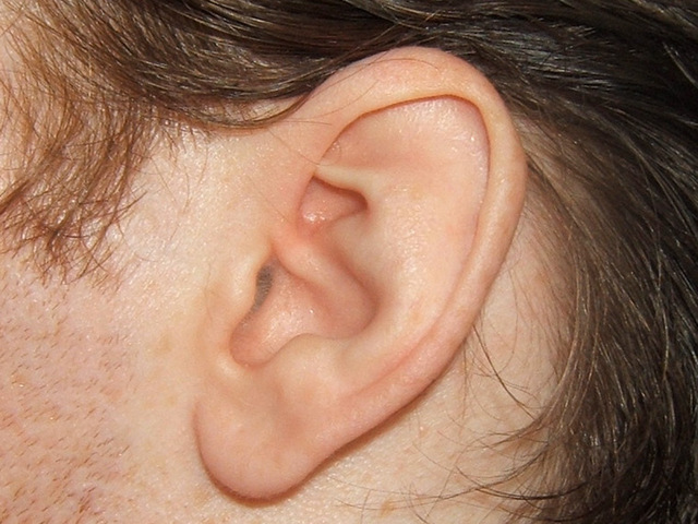 ear-1437725-640x480