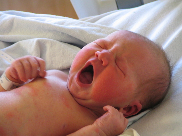 newborn-elisa-1437802-640x480